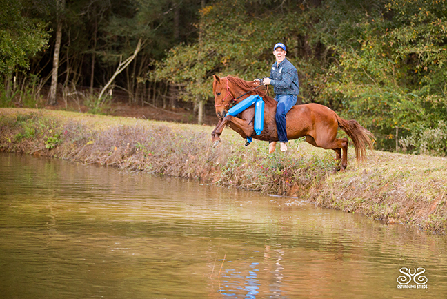 Boat bumpers great horse training supplies to desensitize to the leg